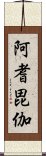 阿耆毘伽 Scroll