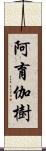 阿育伽樹 Scroll