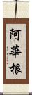 阿華根 Scroll