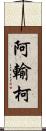 阿輸柯 Scroll