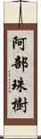 阿部珠樹 Scroll