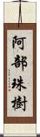 阿部珠樹 Scroll