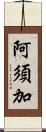 阿須加 Scroll