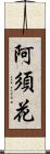 阿須花 Scroll