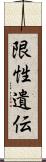 限性遺伝 Scroll