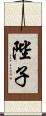 陛子 Scroll