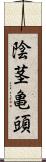 陰茎亀頭 Scroll