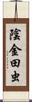 陰金田虫 Scroll