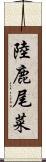 陸鹿尾菜 Scroll