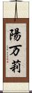 陽万莉 Scroll