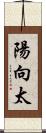 陽向太 Scroll