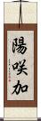 陽咲加 Scroll