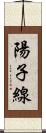 陽子線 Scroll