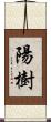 陽樹 Scroll