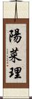陽菜理 Scroll