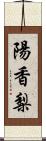 陽香梨 Scroll