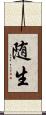 随生 Scroll