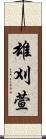 雄刈萱 Scroll