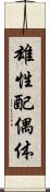 雄性配偶体 Scroll
