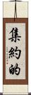 集約的 Scroll