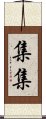 集集 Scroll