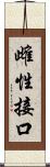 雌性接口 Scroll