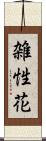 雑性花 Scroll