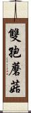 雙孢蘑菇 Scroll