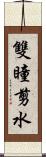 雙瞳剪水 Scroll