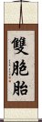 雙胞胎 Scroll