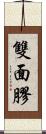 雙面膠 Scroll