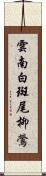 雲南白斑尾柳鶯 Scroll