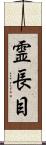 霊長目 Scroll