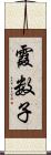 霞数子 Scroll