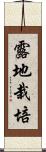 露地栽培 Scroll