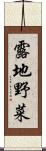 露地野菜 Scroll