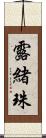 露緒珠 Scroll