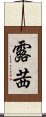 露茜 Scroll