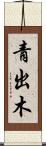 青出木 Scroll