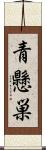 青懸巣 Scroll