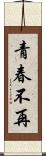 青春不再 Scroll