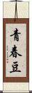 青春豆 Scroll