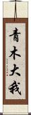 青木大我 Scroll