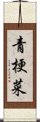 青梗菜 Scroll