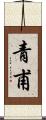 青甫 Scroll