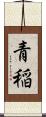 青稲 Scroll