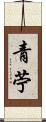 青苧 Scroll