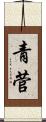 青菅 Scroll