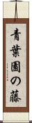 青葉園の藤 Scroll