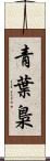 青葉梟 Scroll